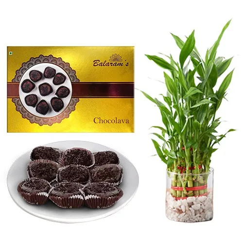 Delicious Chocolava from Balaram Mullick with Lucky Bamboo Plant