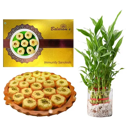 Remarkable Gift of Immunity Sandesh from Balaram Mullick N Lucky Bamboo Plant