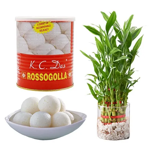 Marvelous Canned Rossogolla from K.C.Das with Lucky Bamboo Plant